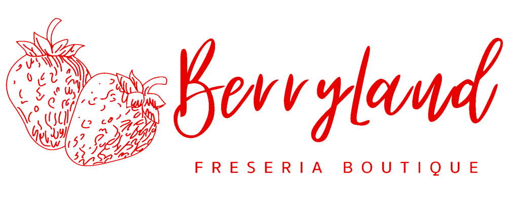 Berryland Postrería Boutique